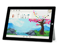 东西湖Surface 无法开启、Windows 无法启动或电池无法充电