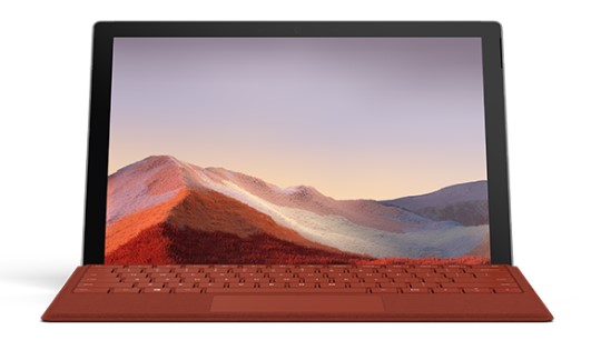 东西湖清洁和维护 Surface